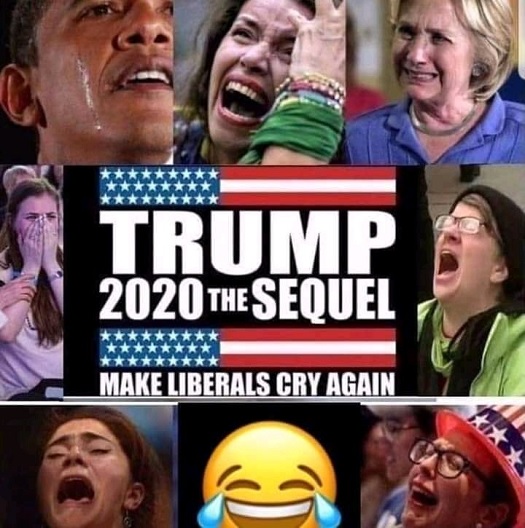 trump 2020 - make liberals cry again.jpg